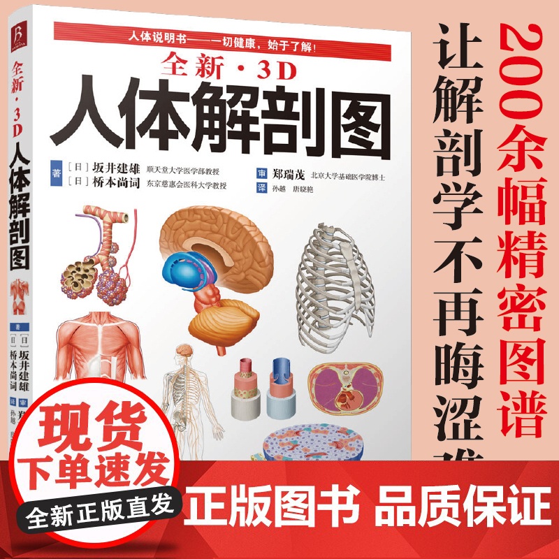 3D人体解剖图200个精密3D图例人体肌肉解剖运动解剖学断层局部解剖学图谱教材卫生解剖生理学专业基础医学图谱人体解剖学书高清大图