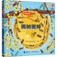揭秘蜜蜂 英国尤斯伯恩出版公司 编 谢沐 译 少儿 文轩网