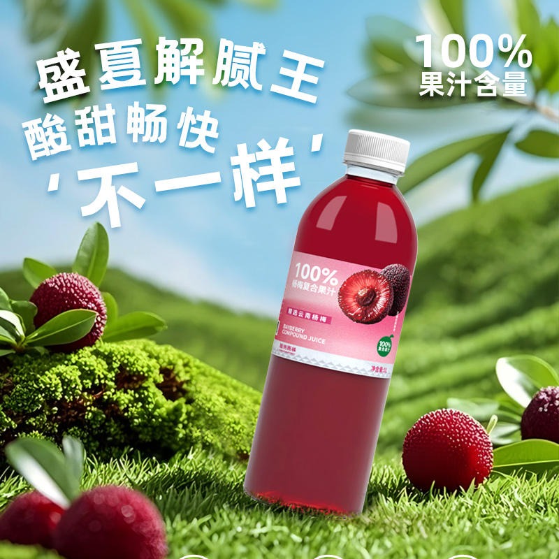 版纳雨林杨梅复合果汁1L*6瓶高清大图
