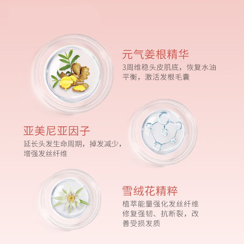 卡诗(KERASTASE) 赋源芯丝男士动力洗发水250ml高清大图