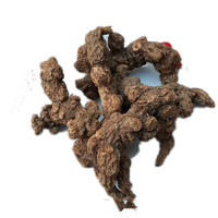 2018大别山野生 苍术 茅苍术 野南苍术无硫新货天然仓术 500g