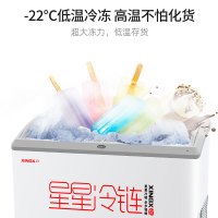 星星(XINGX) SD/SC-103B商用展示柜超市大容量卧式冷柜全冷冻冷藏冰柜雪糕海鲜丸子深底组合岛柜保鲜展示柜