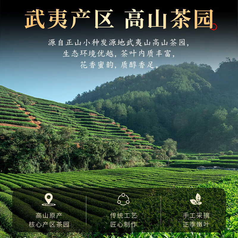 小茶日记细条小种小茶日记茶叶武夷山正山小种浓香型细条红茶2罐装500g茶叶高清大图