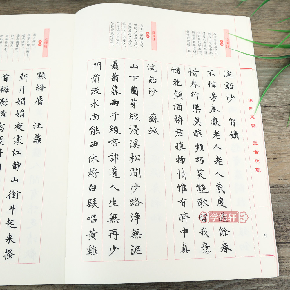 [正版]赵体小楷集宋词百首 王定远主编 北京体育大学出版社 中国元代法帖楷书 书籍赵孟頫楷书毛笔字帖赵孟俯高清大图