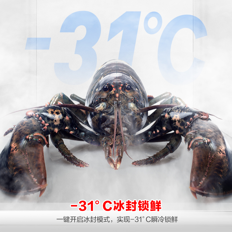 国补20%|容声547L对开门冰箱双开门无霜一级能效双变频冷藏冷冻全净化大容量家用冰箱 BCD-547WD12HP高清大图