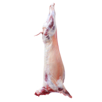 塞上滩 宁夏盐池山羊肉18斤全羊半只现宰烧烤羔羊食材羊腿羊排生鲜