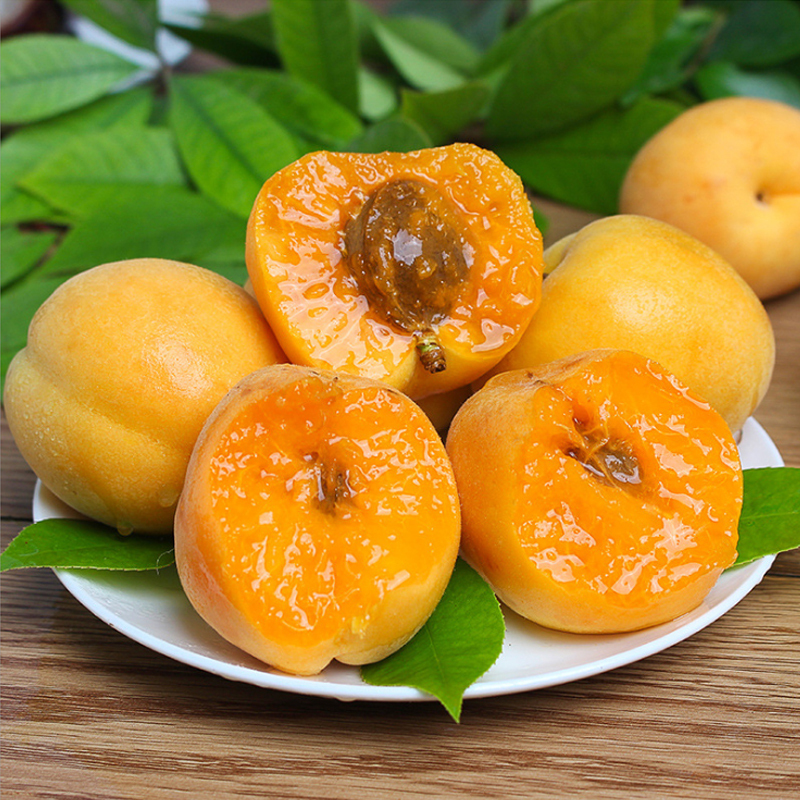 陕西大黄杏3斤酸甜大杏子新鲜时令水果产地精选陈小四水果