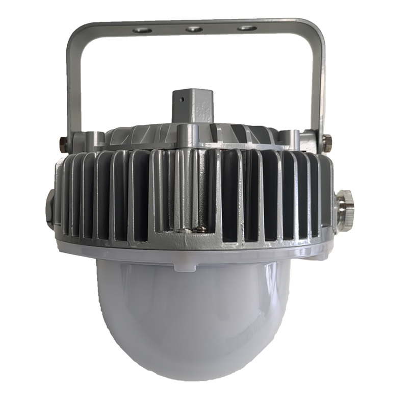 光大特照 EBF605(LQ)-60 60W 220V IP66 LED平台灯 (计价单位:个) 银白色高清大图
