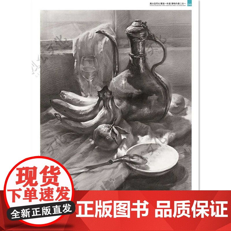 高分自然光素描一本通静物头像二合一 2021烈公文化庄粤雄陈明钱单个组合素描静物人物头像临摹范本美术高考联考教材教程画册高清大图