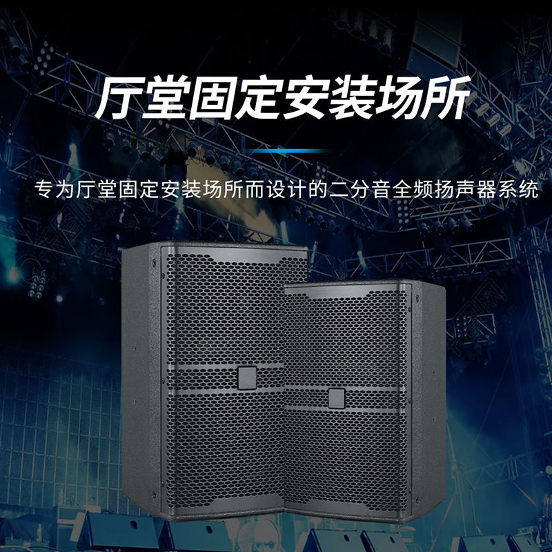 润普国产化会议室展厅教室礼堂报告厅10英寸全频专业会议音响/音箱RP-HYD655高清大图