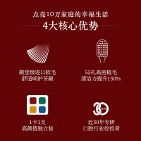 倍加洁大宽头护龈软毛国潮风牙刷2支独立包装 53孔高密植毛