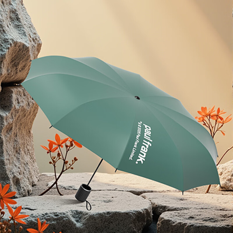 大嘴猴(Paul Frank)十骨三折雨伞PFU204遮阳伞太阳伞晴雨两用伞防晒防外线紫高清大图