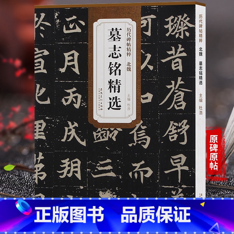 【正版】天卷 北魏 墓志铭选 历代碑帖 杜浩主编 楷书毛笔字帖书法临摹练 元桢墓志铭李壁墓志铭美人董氏墓志铭 简体旁注