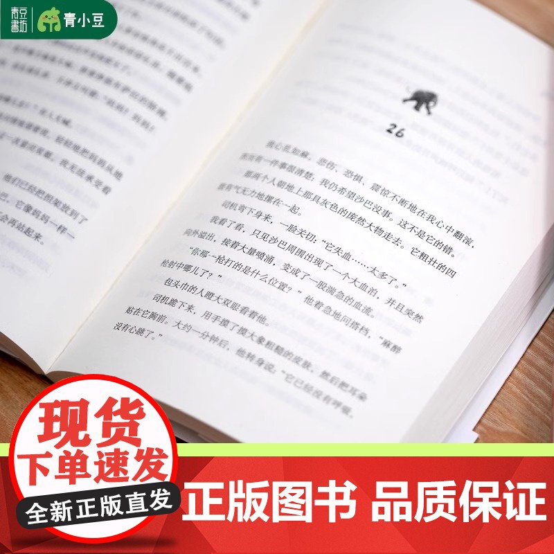 [央视网]大象女孩 一个马赛女孩与一只非洲象的传奇故事女孩成长孤独艰难人与自然大奖作家环境保护动物小说女孩成长历险小说Q高清大图