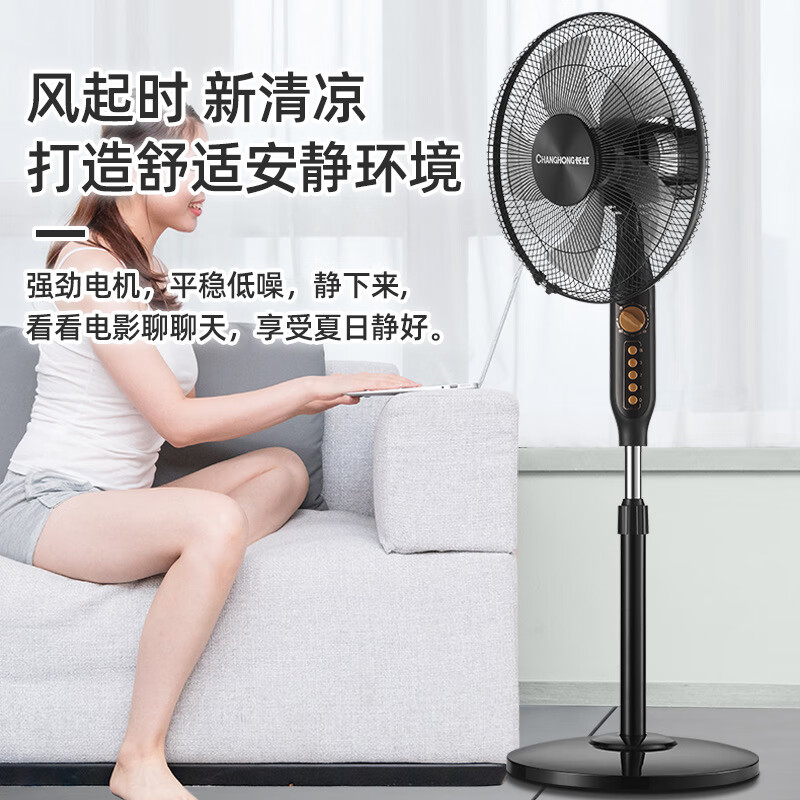 长虹(CHANGHONG) 电风扇CFS-16P04高清大图