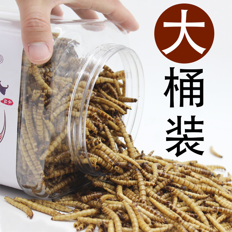 龙鱼饲料金龙银龙鱼专用鱼食罗汉鱼鱼粮面包虫大麦虫地图锦鲤饲料高清大图