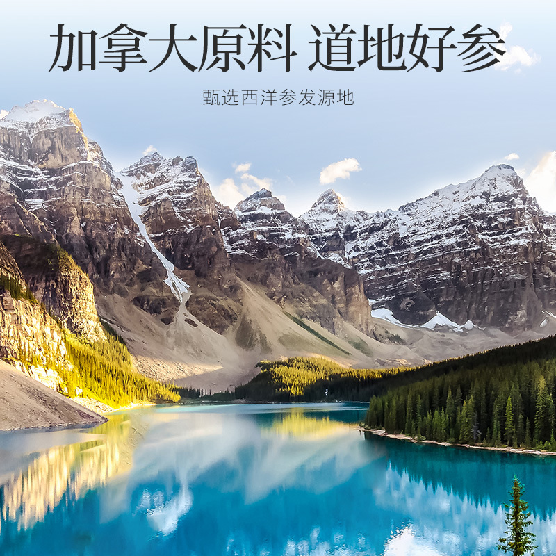 96g12罐礼盒1.2-1.4cm加拿大西洋参 长白山西洋参片花旗参大片软支西洋参切片官方旗舰店高清大图