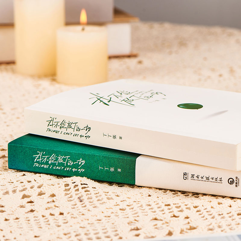 [正版图书]我不能放下的一切 丁丁张 长篇小说中国当代 直抵都市人心 年度感动之作 书籍都市小说青春文学高清大图