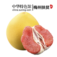 梅州金柚 蜜柚 红心蜜柚 柚子水果（2个袋装约2.0-2.8kg）华南