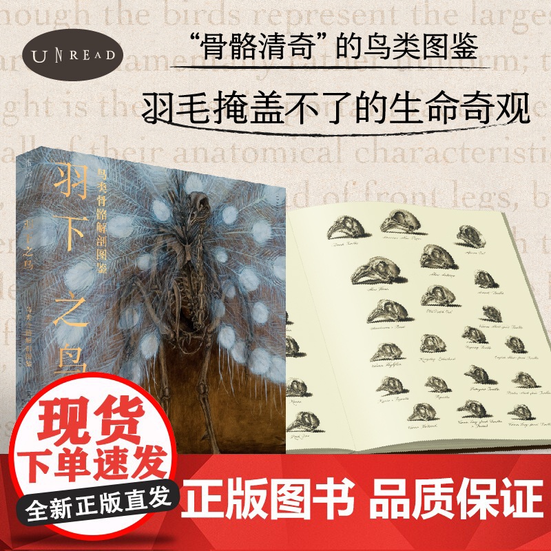 [套装]羽下之鸟+非自然的选择:艺术与科学完美结合,进化与人工选择的艺术,鸟类骨骼解剖图鉴 。高清大图