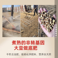 张宝山升级版铁棍怀山药粉600g/罐河南焦作正宗怀山药早餐代餐粉即冲即饮