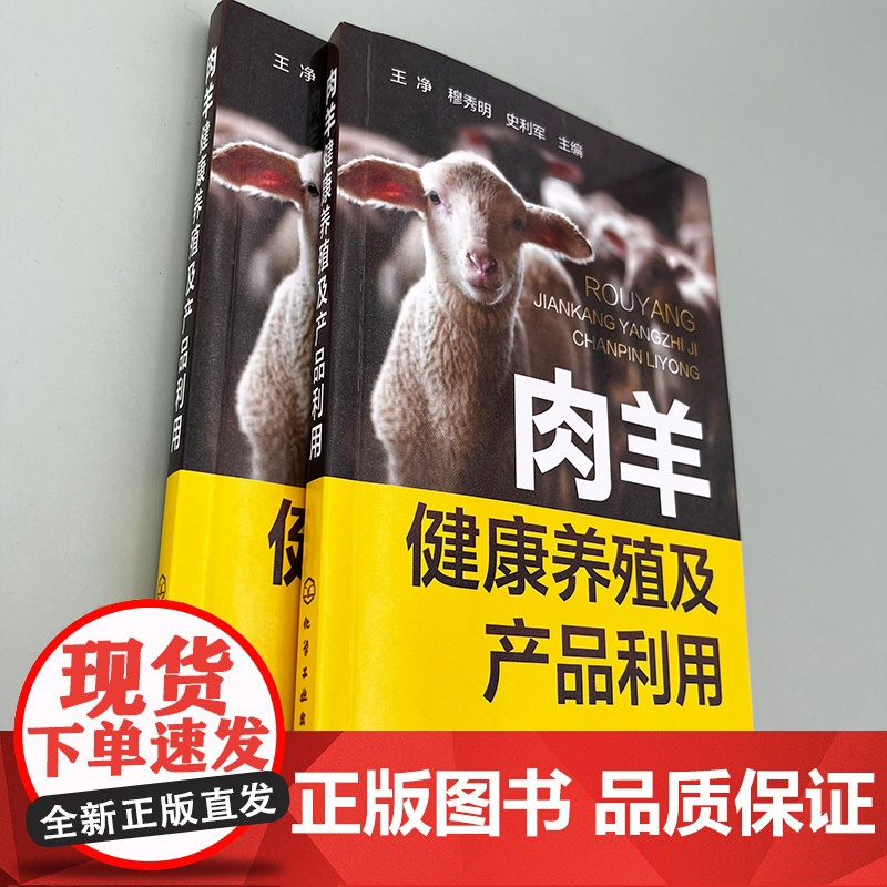 肉羊健康养殖及产品利用 王净 化学工业出版社 正版书籍高清大图