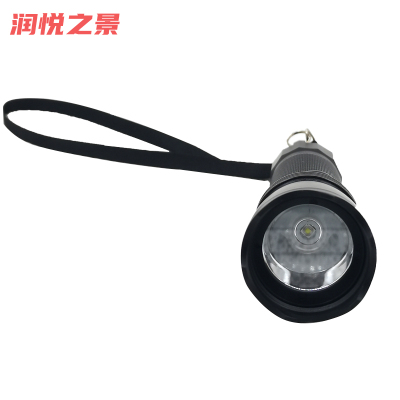 润悦之景 多功能巡检手电筒 RY6534-3W 套