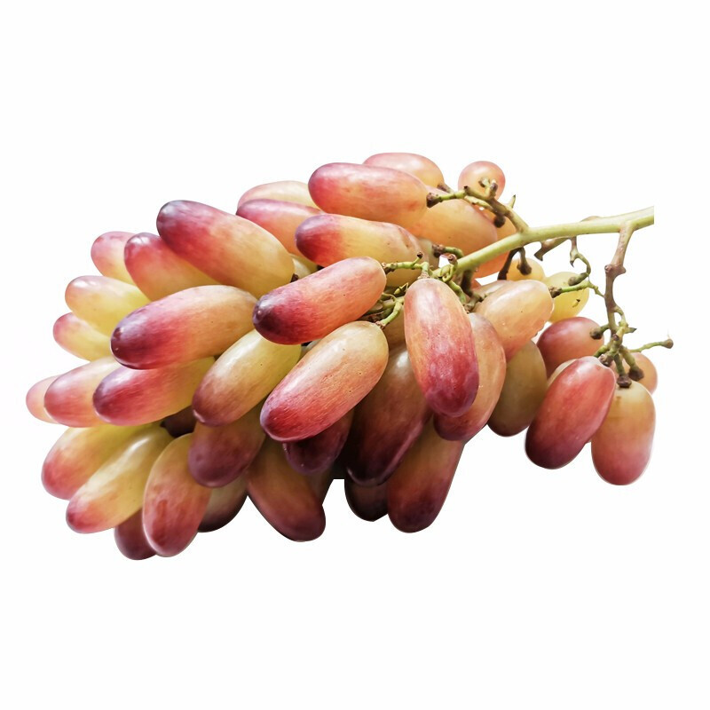 xj现摘美人指红提葡萄新鲜葡萄红提子非澳洲金手指可开发票15kg