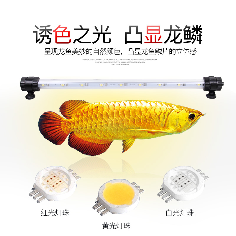 仟湖龙鱼专用led潜水灯防水日光灯鱼缸灯红龙金龙鹦鹉鱼增色灯高清大图