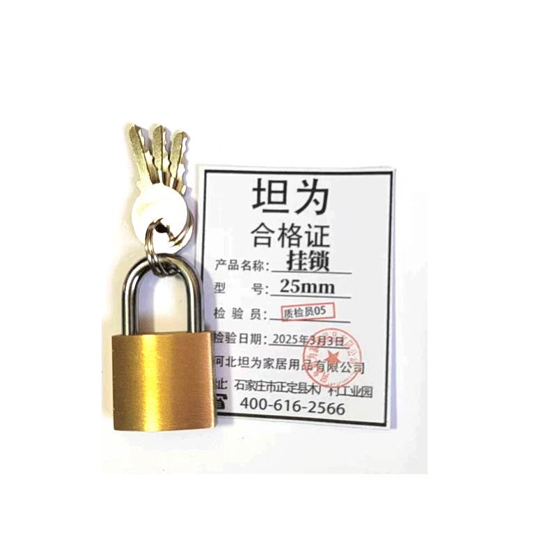 锁挂锁铁锁小挂锁单开锁 25mm 把