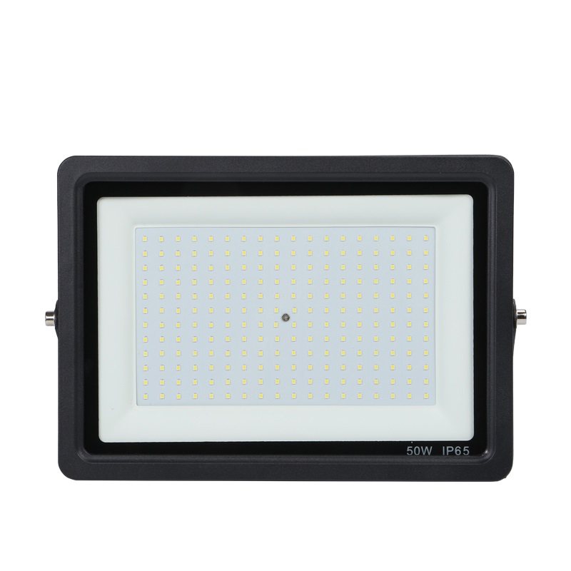 韬鹏 小苹果 LED投光灯 50W 个