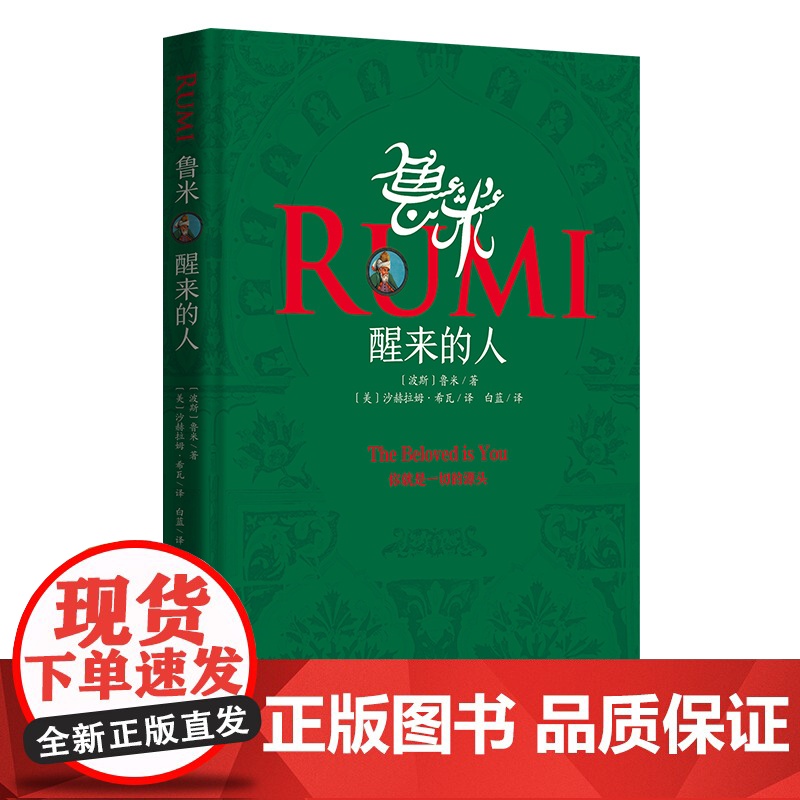 【正版】鲁米 醒来的人 鲁米 心灵修行诗集 外国诗歌 集哲学性 神秘性 文学性等于一身 外国文学诗歌词曲书籍