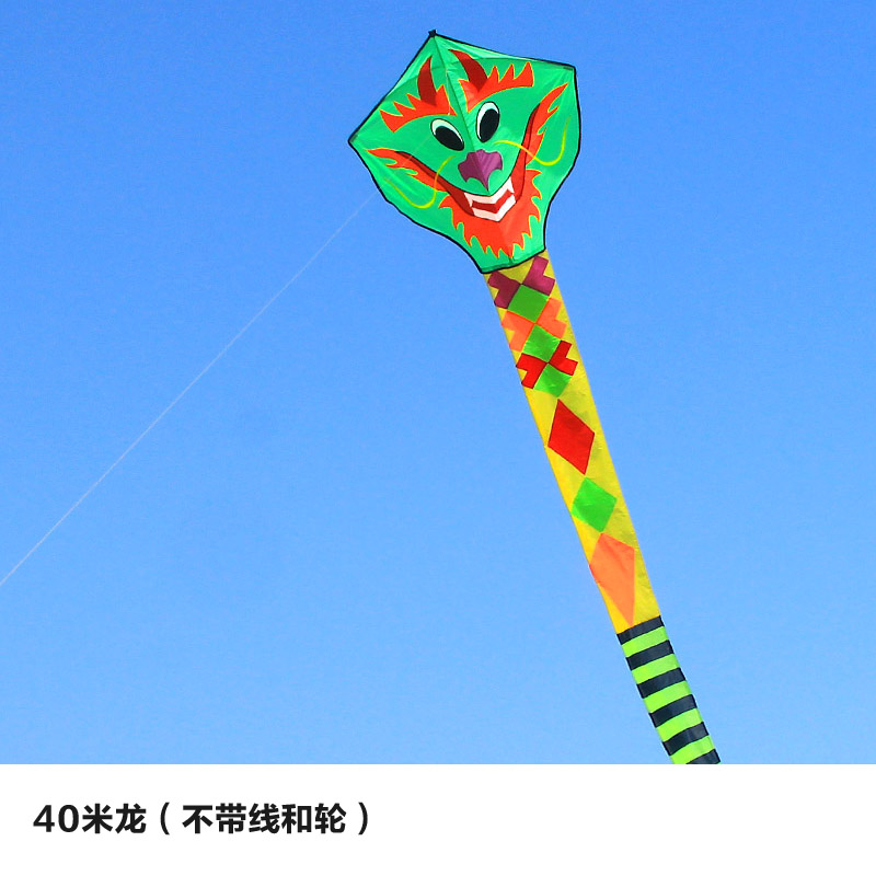 风筝儿童成型微风易飞大特大青蛇卡通初学者龙形风筝创意 三维工匠 40米龙高清大图