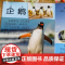 野生动物百科全书幼儿大百科全套军事坦克飞机动物世界儿童注音版科普小百科海洋空恐龙绘本科学认知幼儿少儿3-6岁书籍dk世界
