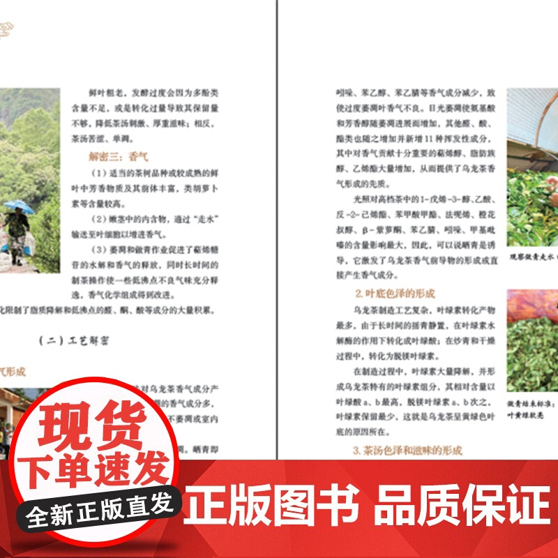 [店]悦品岩茶 岩茶、大红袍、品鉴 新手入门高清大图