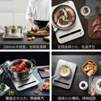 钛古(Taigroo)电磁炉日本进口面板德国芯片变频连续小火静音涡流风机整板触碰液晶屏双显示超薄大火力电磁灶月光银裸机