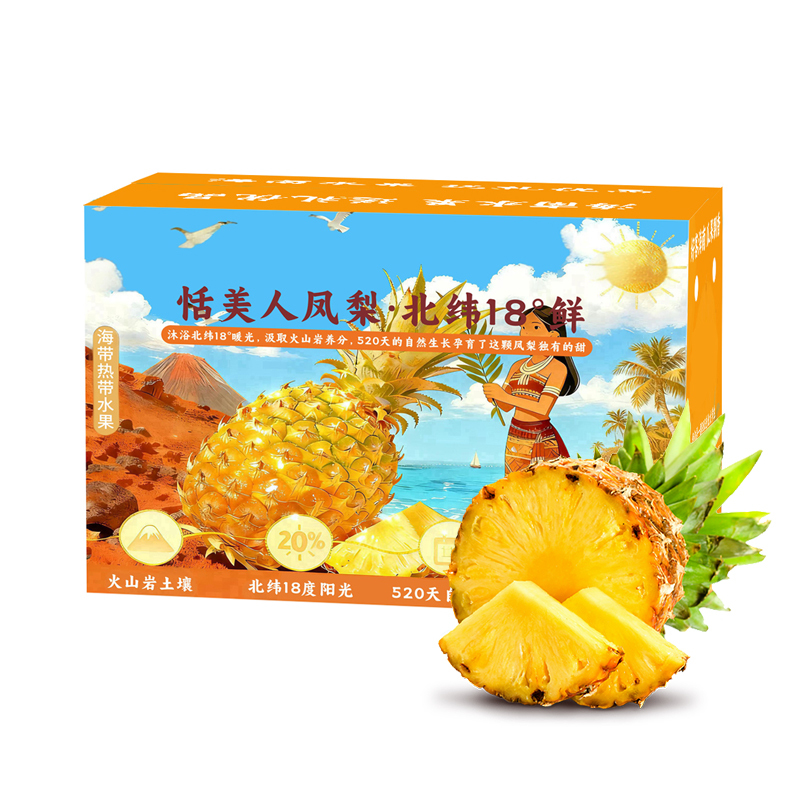 礼盒装【西沛生鲜】海南金钻凤梨 净重7.5斤 3-4个 大果 当季新鲜水果 酸甜多汁 产地精选