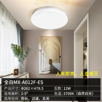 公牛LED感应吸顶灯声控楼梯楼道入户走廊玄关家用声光控感应灯