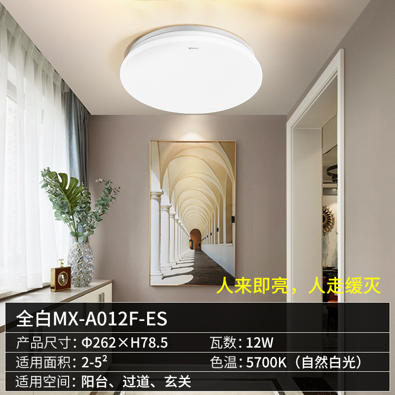 公牛LED感应吸顶灯声控楼梯楼道入户走廊玄关家用声光控感应灯