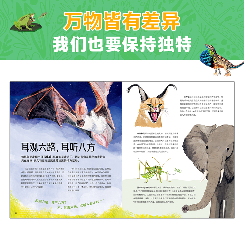 醉染图书有趣屁屁,奇怪鸟嘴 光怪陆离的动物世界9787559085993高清大图