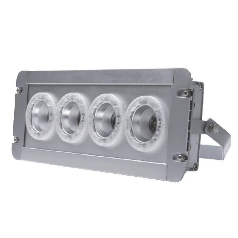 倬屹(ZHUOYI) FZY9290 IP65 AC220V 5700K LED 应急灯 (计价单位:盏) 银色高清大图