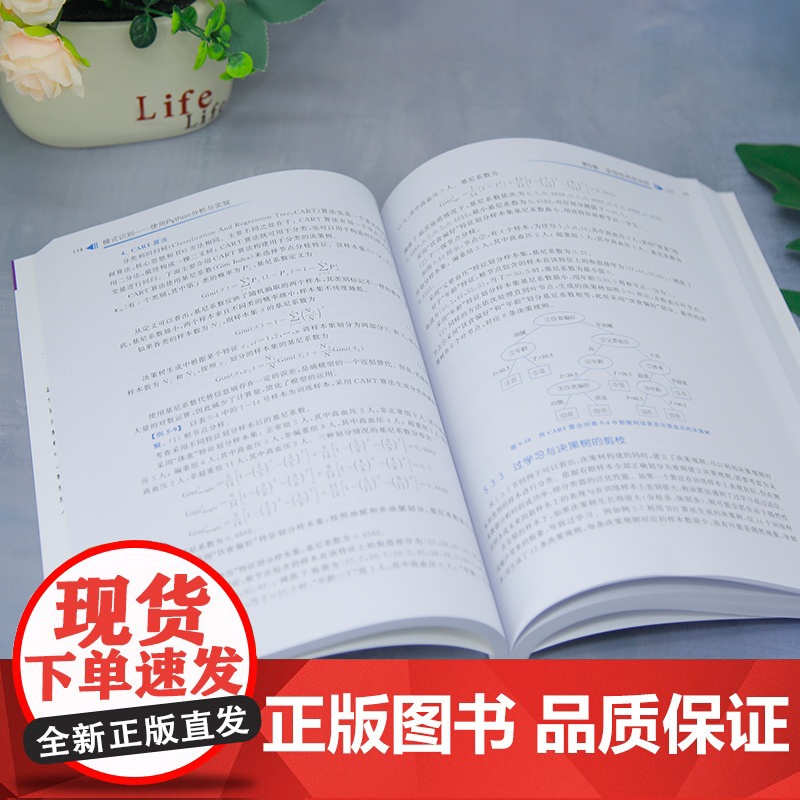 [正版新书]模式识别——使用Python分析与实现 蔡利梅 清华大学出版社 人工智能高清大图