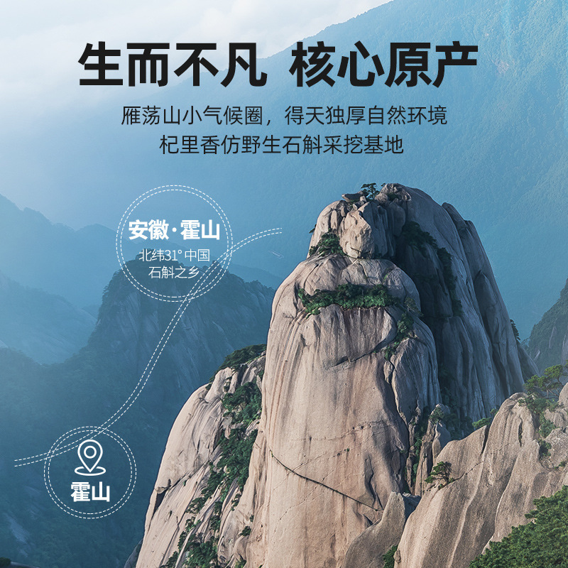 55g瓶装霍山石斛4年送礼铁皮石斛五年生铁皮石斛过节礼品 枫斗官方旗舰店高清大图