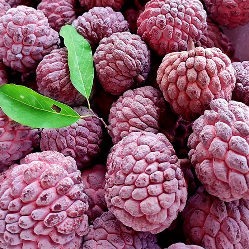 顺丰快递[西沛生鲜]新鲜玫瑰释迦果 净重1.5斤 小果 精选释迦果 牛奶释迦番荔枝 佛头果 新鲜热带水果 西沛高清大图