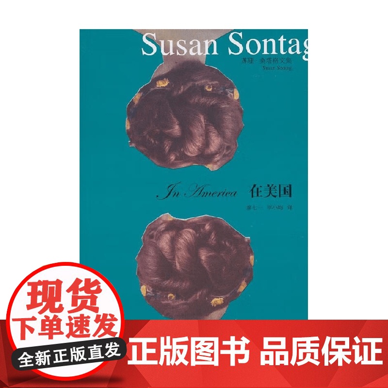 在美国 苏珊 桑塔格文集 苏珊·桑塔格 著 小说