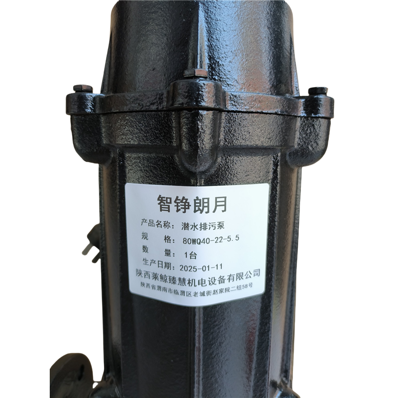 智铮朗月 潜水排污泵 80WQ40-22-5.5 台高清大图