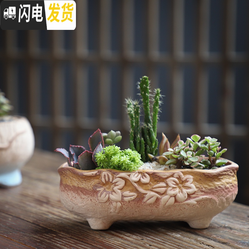 三维工匠可画画上色彩多肉小花盆陶瓷粗陶透气创意肉肉植物盆 西瓜红图片款[2个装] 中等花盆容器高清大图