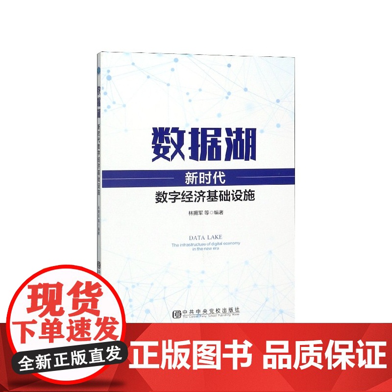 数据湖(新时代数字经济基础设施)高清大图
