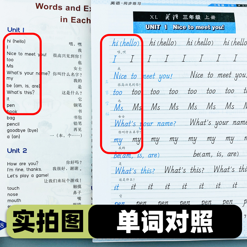 [醉染正版]湘鲁版英语练字帖 湘鲁版三年级上册英语字帖 三四五六年级上下册 同步练字贴小学生英语课堂 邹慕白字帖高清大图