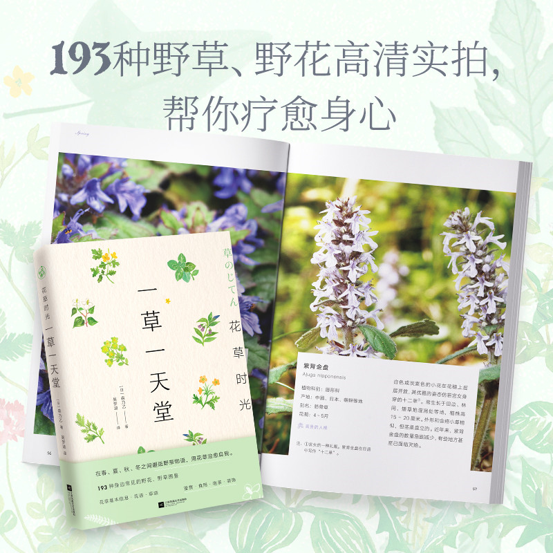 [醉染正版]花草时光-一草一天堂森乃乙书籍生活养花书江苏凤凰文艺出版社鉴赏食用泡茶装饰将花草融入生活治愈身心野花野草图鉴高清大图